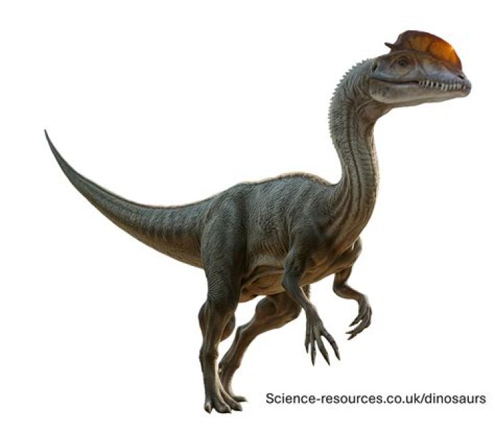 Dilophosaurus: The Feathered Dinosaur That Dominated the Jurassic Era