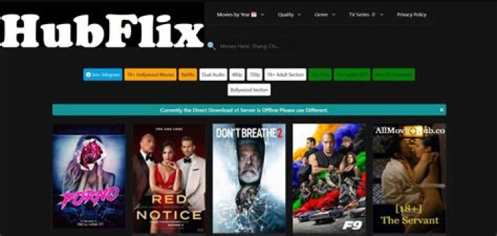 HubFlix 4U: Your Ultimate Streaming Companion