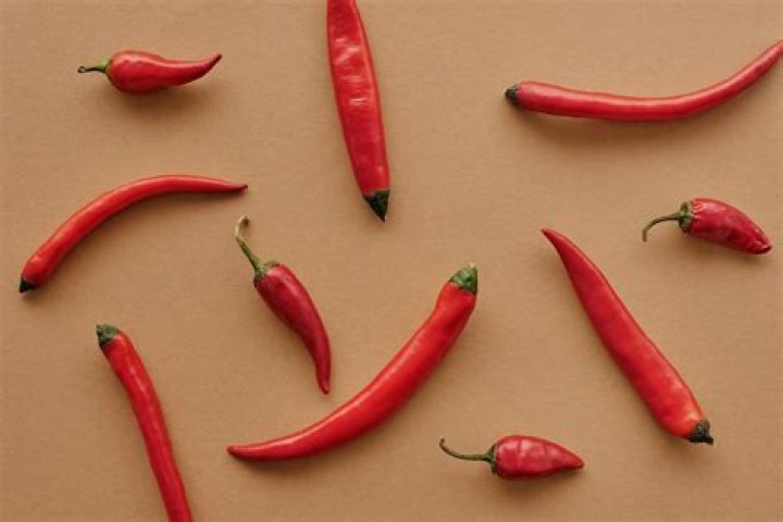 Pepper Family: The Spicy Chronicles You Need to Know