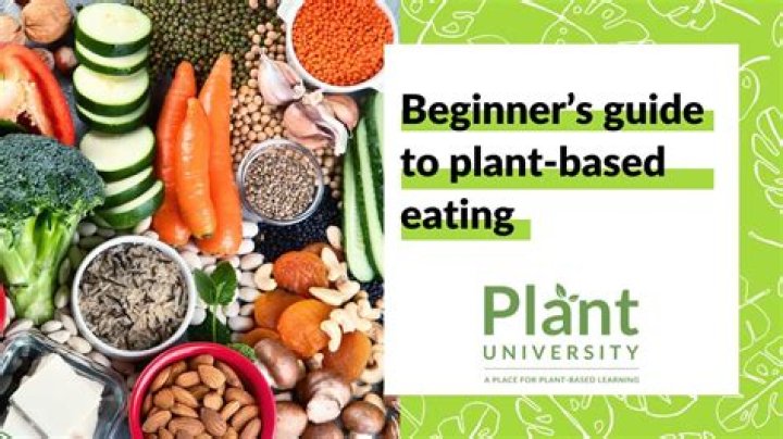 Vegamuvis: The Ultimate Guide to Plant-Based Movie Snacks