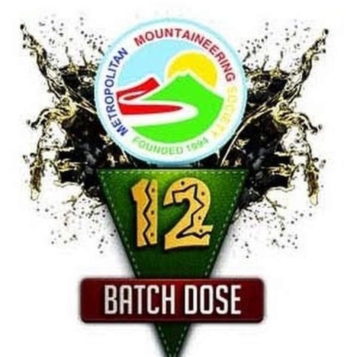 What is MMSdose? A Comprehensive Guide to Understanding and Utilizing Its Benefits