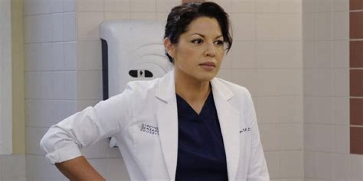 Why Did Callie Leave Grey's Anatomy? The Real Reason Behind Sara Ramirez's Departure